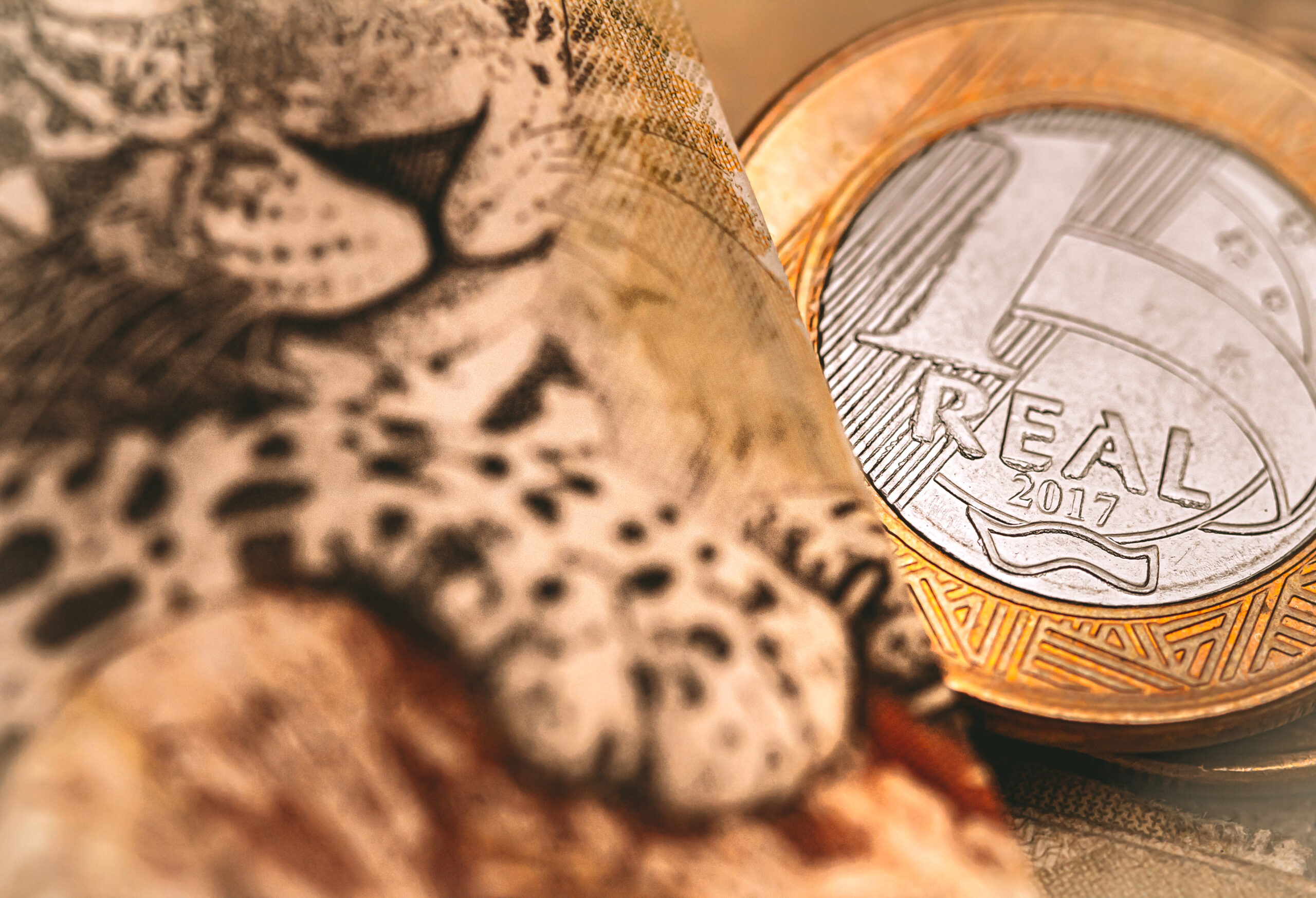 Como identificar benefícios municipais para famílias carentes